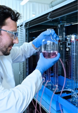Laboratory Testing